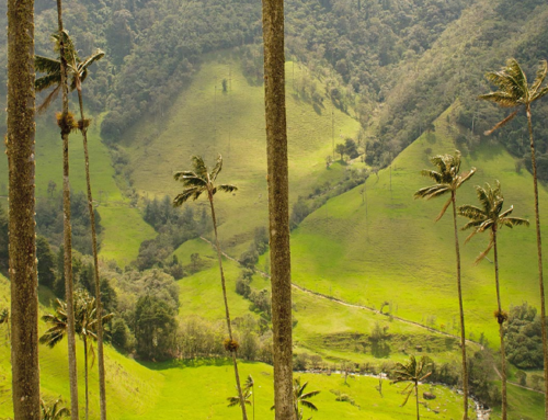 COLOMBIA