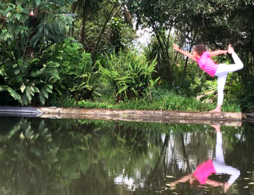 YOGA IN ECUADOR