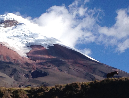 ECUADOR